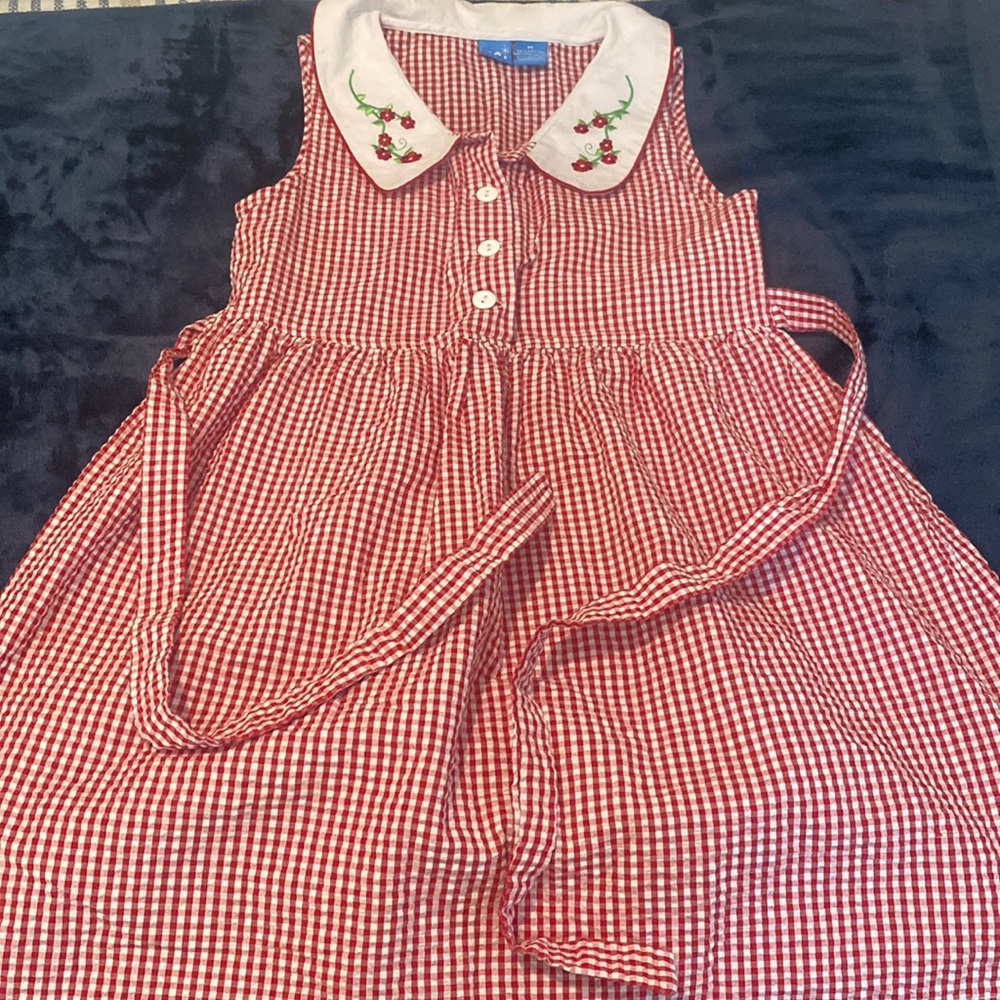 Red gingham dress with embroidered collar, size medium